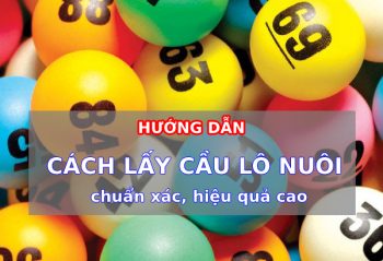 Hướng dẫn cách lấy cầu lô chuẩn xác, hiệu quả